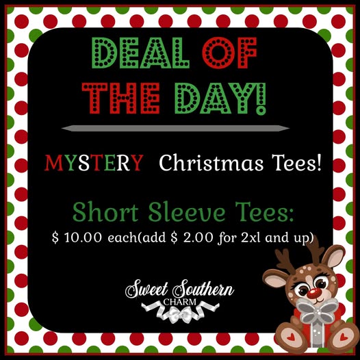 MYSTERY SHORT SLEEVE CHRISTMAS TEE-